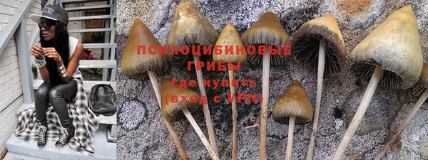 a pvp Армянск